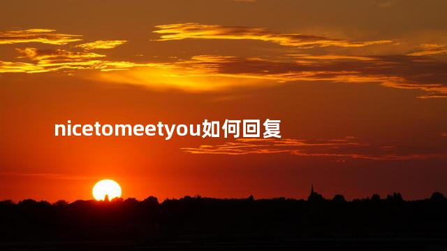 nicetomeetyou如何回复 itwasnicetomeetyou
